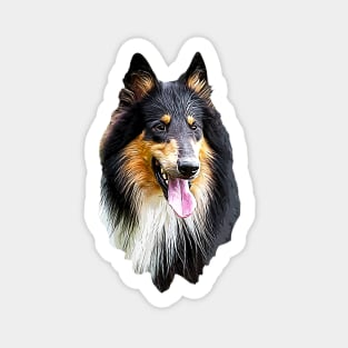 Rough Collie Tri Sticker